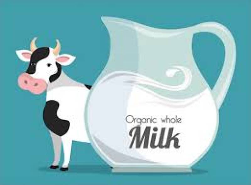 این ترکیبات سالم همراه با شیر سمی می شوند